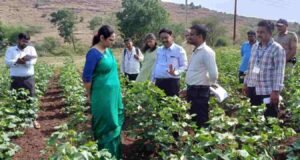 जेव्हा नंदुरबार जिल्हाधिकारी मनीषा खत्री थेट शेतकऱ्यांच्या बांधावर जातात… Manisha Khatri Collector Nandurbar