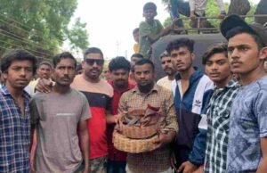 नंदुरबार येथील सर्पमित्रांनी दिले सापाला जीवदान Nandurbar Snakefriends