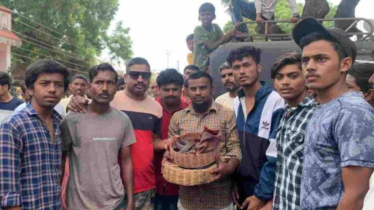 नंदुरबार येथील सर्पमित्रांनी दिले सापाला जीवदान