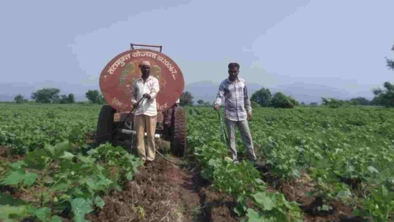 तळोदा तालुक्यातील बोरद परिसरात पिके वाचविण्यासाठी पिकांना टँकर द्वारे पाणीपुरवठा