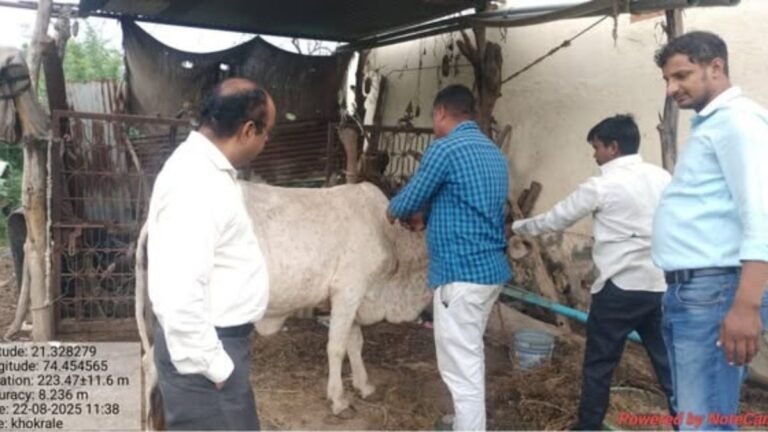 गणोर गावात लंपी आजार प्रतिबंधासाठी प्रभावी फवारणी मोहिम
