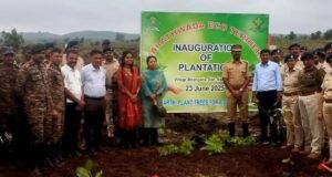 नंदुरबार जिल्ह्यात वृक्षारोपण मोहिमेचा यशस्वी शुभारंभ!