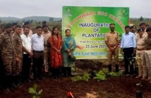नंदुरबार जिल्ह्यात वृक्षारोपण मोहिमेचा यशस्वी शुभारंभ!