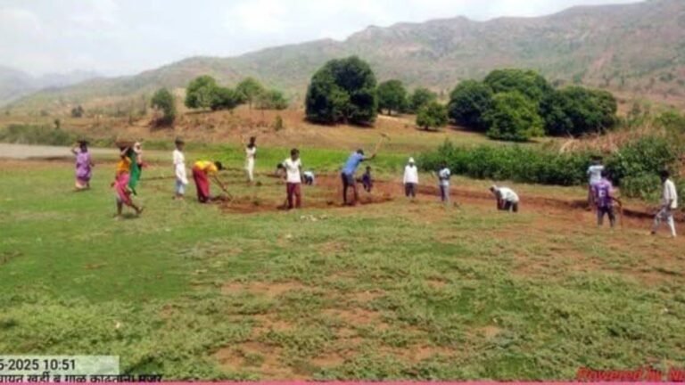 मनरेगा अंतर्गत नंदुरबार जिल्ह्यात जलसंधारणाचे भक्कम पावलं!