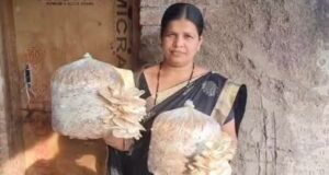 आदिवासी महिलांसाठी समृद्धीचा नवा मार्ग : मशरूम शेती!