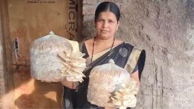 A new path to prosperity for tribal women: mushroom farming!