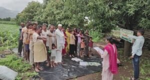 तळोदा तालुक्यात कापूस पिकावरील शेतीशाळा संपन्न