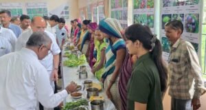 शहादा कृषि महाविद्यालयात रानभाजी महोत्सव उत्साहात संपन्न