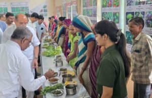 शहादा कृषि महाविद्यालयात रानभाजी महोत्सव उत्साहात संपन्न