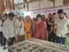 मा. जिल्हाधिकारी डॉ. मित्ताली सेठी यांची मोलगी परिसर भेट – रानभाजी जत्रा, जैवविविधता संवर्धन आणि शेतकरी उत्पादक कंपन्यांना नवी दिशा