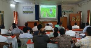 नंदुरबारमध्ये पिकांवरील किड व रोग सर्वेक्षणासाठी ‘क्रॉपसॅप’ विशेष प्रशिक्षण