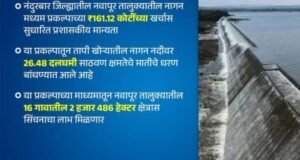 नंदुरबार जिल्ह्यातील नागन प्रकल्पाच्या 161 कोटी 12 लाख रुपयांच्या खर्चास मान्यता