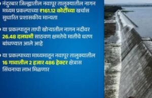नंदुरबार जिल्ह्यातील नागन प्रकल्पाच्या 161 कोटी 12 लाख रुपयांच्या खर्चास मान्यता