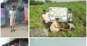 १० कोटी वृक्ष लागवड अभियानांतर्गत चिखली येथे श्रमदानातून बांबू लागवड उपक्रम