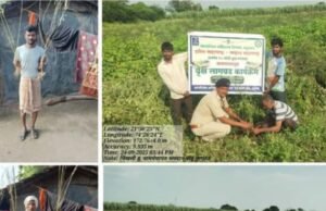 १० कोटी वृक्ष लागवड अभियानांतर्गत चिखली येथे श्रमदानातून बांबू लागवड उपक्रम