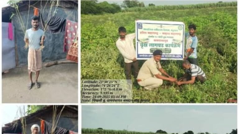 १० कोटी वृक्ष लागवड अभियानांतर्गत चिखली येथे श्रमदानातून बांबू लागवड उपक्रम
