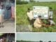 १० कोटी वृक्ष लागवड अभियानांतर्गत चिखली येथे श्रमदानातून बांबू लागवड उपक्रम