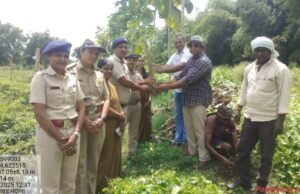 श्रमदानातून हरित भविष्याचा संकल्प – मंदाना येथे ८०० बांबू रोपांची लागवड