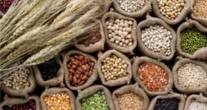 हमीभावाने भरडधान्य खरेदीस 31 डिसेंबर पर्यंत मुदतवाढ ;जिल्हा पणन अधिकारी आर.एस. इंगळे यांची माहिती