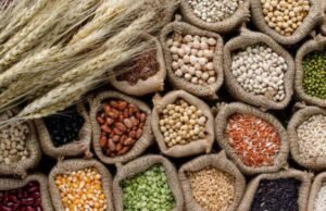 हमीभावाने भरडधान्य खरेदीस 31 डिसेंबर पर्यंत मुदतवाढ ;जिल्हा पणन अधिकारी आर.एस. इंगळे यांची माहिती