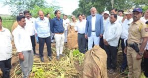 दिवाळीपूर्वी शेतकऱ्यांना मदत देण्याचा शासनाचा प्रयत्न