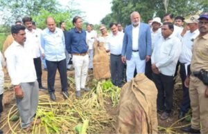 दिवाळीपूर्वी शेतकऱ्यांना मदत देण्याचा शासनाचा प्रयत्न