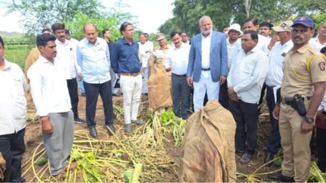 Government's efforts to provide assistance to farmers before Diwali