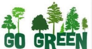 महावितरणच्या ‘गो-ग्रीन’ योजनेला वाढती पसंती गेल्या ३ महिन्यांत २ लाखांवर ग्राहकांचा सहभाग