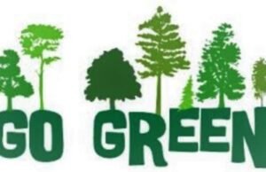 महावितरणच्या ‘गो-ग्रीन’ योजनेला वाढती पसंती गेल्या ३ महिन्यांत २ लाखांवर ग्राहकांचा सहभाग