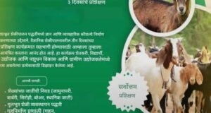 3 दिवसीय ऑनलाईन प्रशिक्षण – शेळीपालनातील शाश्वत उपजीविकेचा विज्ञान आधारित दृष्टिकोन शेळीपालन व्यवसायात नवी दिशा!