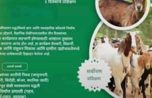 3 दिवसीय ऑनलाईन प्रशिक्षण – शेळीपालनातील शाश्वत उपजीविकेचा विज्ञान आधारित दृष्टिकोन शेळीपालन व्यवसायात नवी दिशा!