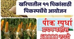 खरीप हंगाम पीक स्पर्धा 2025 – उत्पादनवाढीच्या दिशेने शेतकऱ्यांचे यशस्वी पाऊल!