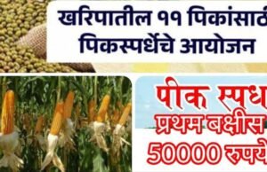 खरीप हंगाम पीक स्पर्धा 2025 – उत्पादनवाढीच्या दिशेने शेतकऱ्यांचे यशस्वी पाऊल!