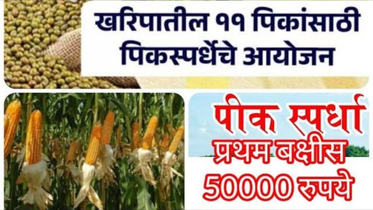 खरीप हंगाम पीक स्पर्धा 2025 – उत्पादनवाढीच्या दिशेने शेतकऱ्यांचे यशस्वी पाऊल!
