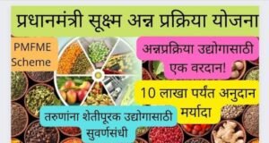 PMFME योजना : नंदुरबार जिल्ह्यातील सूक्ष्म अन्नप्रक्रिया उद्योगांना मिळणार बळ