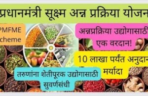 PMFME योजना : नंदुरबार जिल्ह्यातील सूक्ष्म अन्नप्रक्रिया उद्योगांना मिळणार बळ