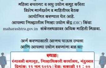 नंदुरबार जिल्ह्यातील युवकांसाठी सुवर्णसंधी मुख्यमंत्री रोजगार निर्मिती कार्यक्रम (CMEGP)