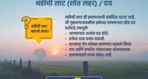 सावध राहा, थंडीची लाट आली आहे!