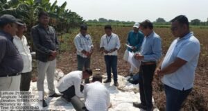 सोयाबीन पीक कापणी पर्यवेक्षण