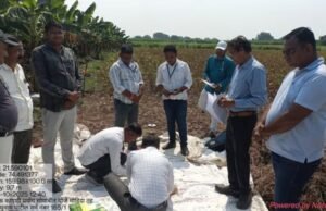 सोयाबीन पीक कापणी पर्यवेक्षण