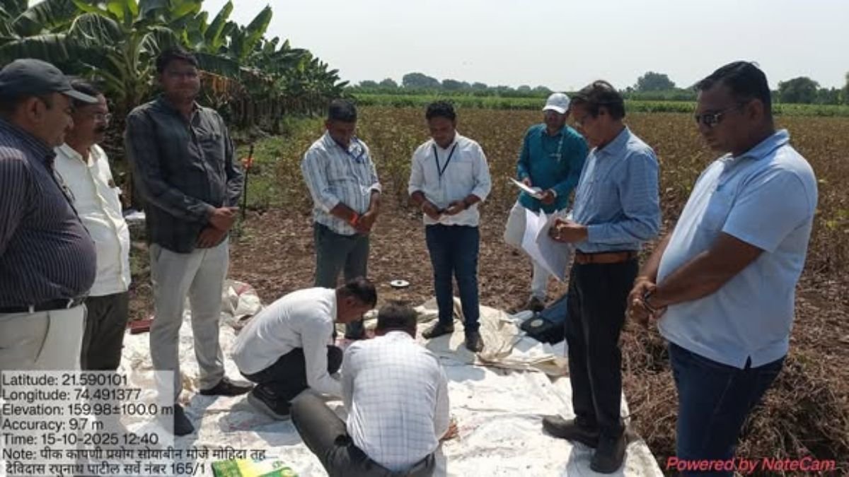 Soybean crop harvesting supervision