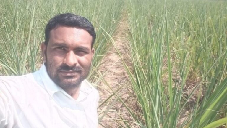शेतकऱ्यांना दिलासा देणारी ‘मुख्यमंत्री बळीराजा मोफत वीज योजना’