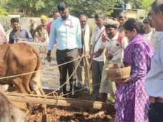 बिजरीगव्हाण येथे राळा पीक प्रात्यक्षिक बियाणे वाटप कार्यक्रम संपन्न