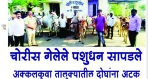 चोरी गेलेल्या 09 गोवंश जनावरांचा शोध घेत नंदुरबार तालुका पोलिसांनी दिले फिर्यादी यांचे ताब्यात..!