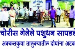 चोरी गेलेल्या 09 गोवंश जनावरांचा शोध घेत नंदुरबार तालुका पोलिसांनी दिले फिर्यादी यांचे ताब्यात..!