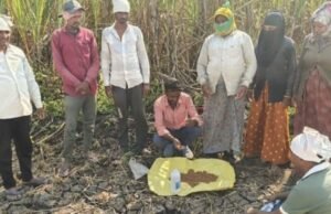 रब्बी हंगाम 2025-26 अंतर्गत बीजप्रक्रिया व उगवण क्षमता चाचणी प्रात्यक्षिके — शेतकऱ्यांसाठी मार्गदर्शक उपक्रम