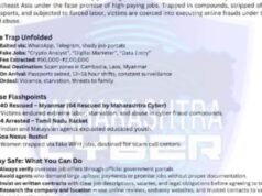 स्वप्नातील नोकरी की सायबर जाळं?