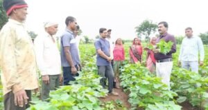 नंदुरबार प्रात्यक्षिक कार्यक्रम व प्रात्यक्षिक प्लॉट ला भेटी