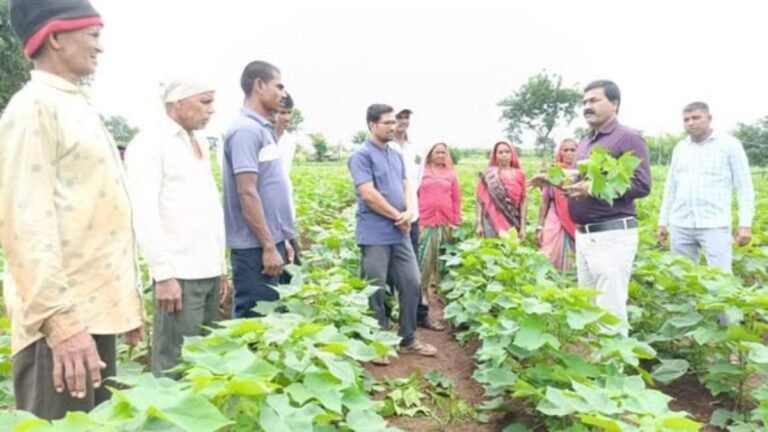 नंदुरबार प्रात्यक्षिक कार्यक्रम व प्रात्यक्षिक प्लॉट ला भेटी