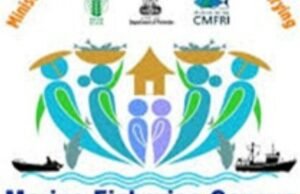राष्ट्रीय सागरी मत्स्यव्यवसाय जनगणना २०२५ ला प्रारंभ; डिजिटल माध्यमातून सागरी मत्स्य क्षेत्राचे सखोल चित्रण
